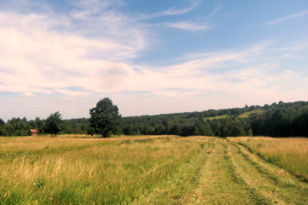 Naturpark Ferienhaus Szalafo Екстер'єр фото