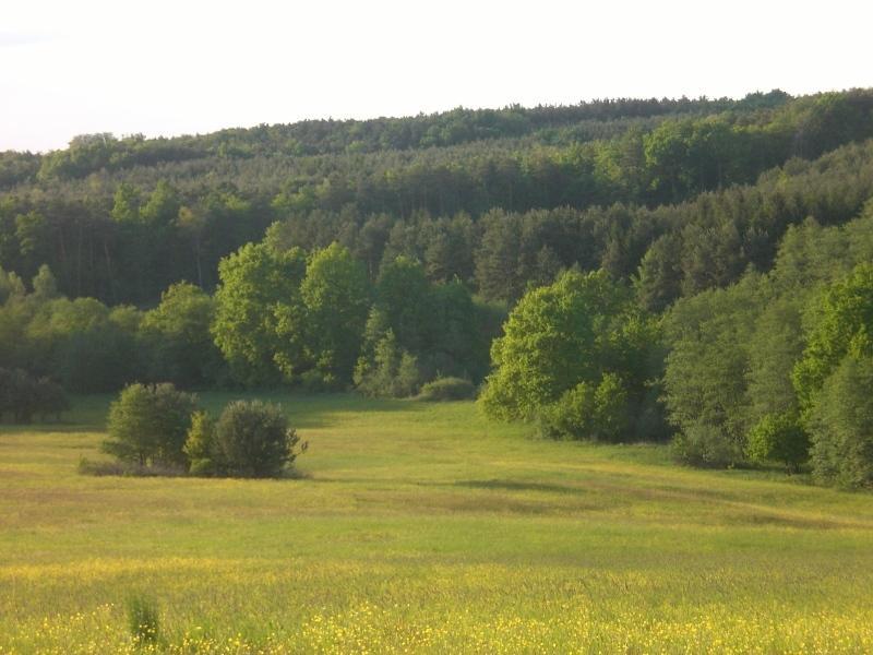 Naturpark Ferienhaus Szalafo Екстер'єр фото